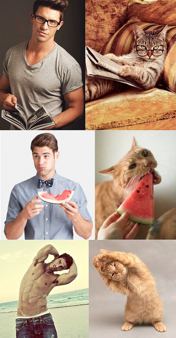 Сравнение мужчин и котов / Всё самое лучшее из интернета